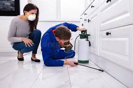 Best Pest Exclusion Services  in Hebbronville, TX